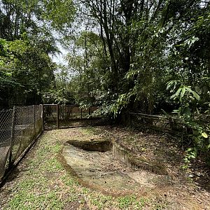 African Dwarf Crocodile Exhibit - empty