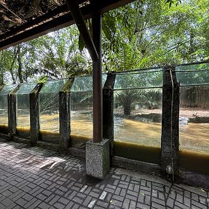 Smooth-coated Otter Exhibit
