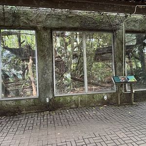 Clouded Leopard Exhibit