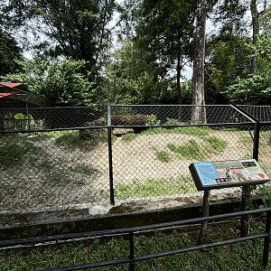 Spotted Hyena Exhibit