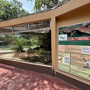 Reticulated Python Exhibit - New in 2024