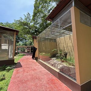 Reptile Complex - New in 2024