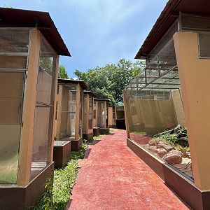 Reptile Complex - New in 2024