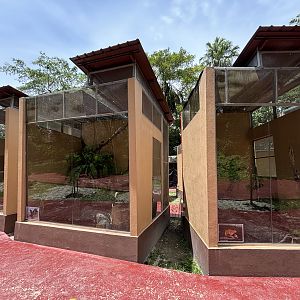 Reptile Complex - New in 2024