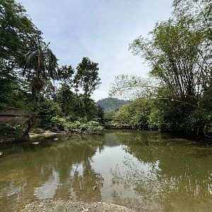 Common Hippo Exhibit