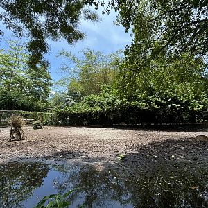 Nilgai/Axis Deer/Demoiselle Crane Exhibit
