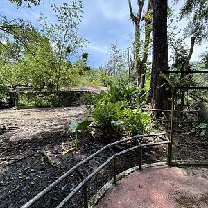 Nilgai/Axis Deer/Demoiselle Crane Exhibit