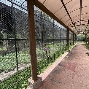 Ex-Hornbill Breeding Aviaries