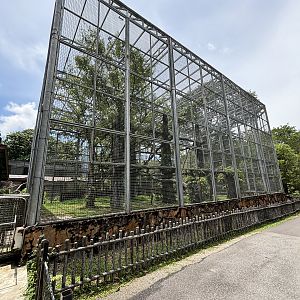 Leopard Exhibit - enormous!