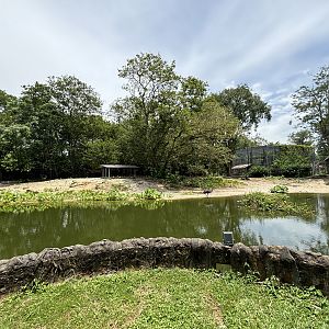 Agile Wallaby + Emu + Waterfowl Exhibit