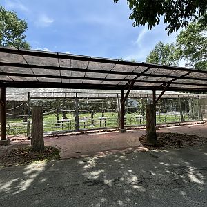 Colours of the Amazon Aviary - renovated in 2024