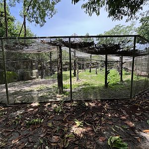 Colours of the Amazon Aviary - renovated in 2024
