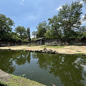 Asian Elephant Exhibit