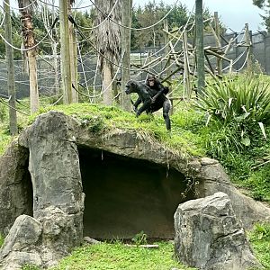 Sanda and Kendi (Mother and Infant)