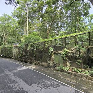 Large Indian Civet/Binturong exhibits
