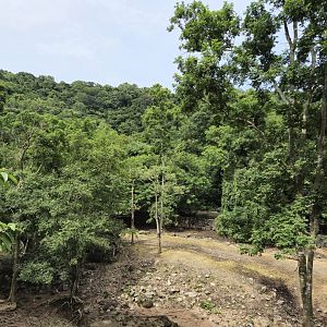 Barasingha/Sambar exhibit