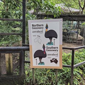 Cassowary sign