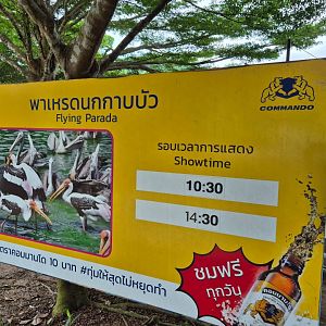 Pelican/Milky Stork Parade Sign