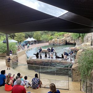Legislator’s Day Sea Lion Show