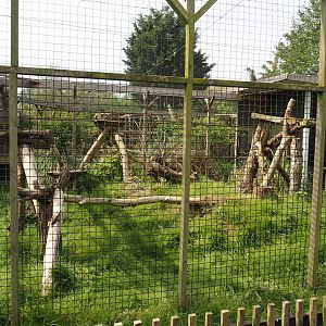 First Caracal exhibit, 2024-05-11
