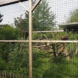 Second Caracal exhibit, 2024-05-11