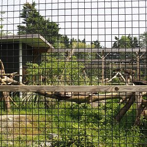 Second Caracal exhibit, 2024-05-11