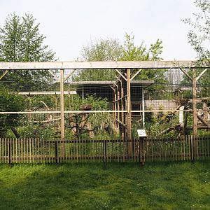 Caracal exhibits, 2024-05-11
