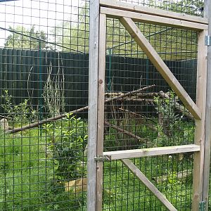 Greater grison exhibit, 2024-05-11