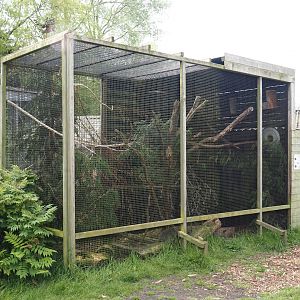 Exhibit for probable Pallas's squirrels, labeled as Perny's Long-nosed squirrel, 2024-05-11