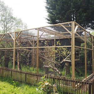 Geoffroy's cat exhibits, 2024-05-11