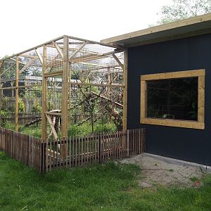 Geoffroy's cat exhibit and house, 2024-05-11