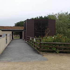 Reptile Realm and new Ring-tailed Coati exhibit, 3rd September 2024