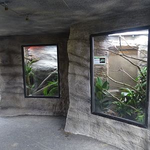 Reptile Realm, 3rd September 2024