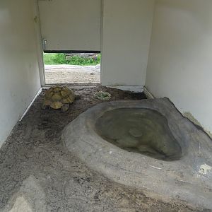 Interior of new African Spurred Tortoise house, 3rd September 2024