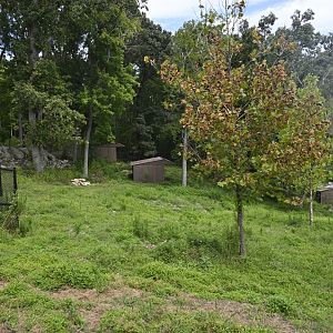Watani Grasslands - Antelope Sheds