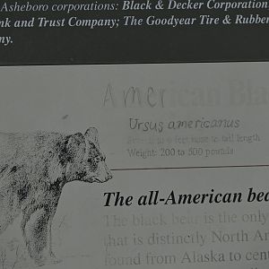 American Black Bear Signage could use an update...