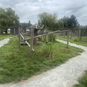 Lemur walkthrough 040824