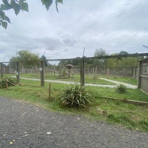 Lemur walkthrough 040824