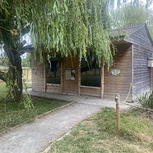 Red ruffed lemur house 040824