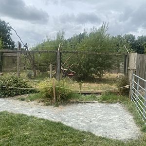 Common squirrel monkey/Azara’s agouti exhibit 040824
