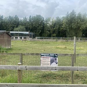 Chapman’s zebra exhibit 040824
