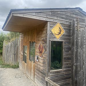 Reptile exhibits 040824