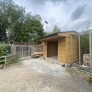 Building work 040824