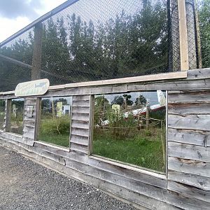 Mixed macaw exhibit 040824