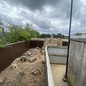 Meerkat exhibit 040824