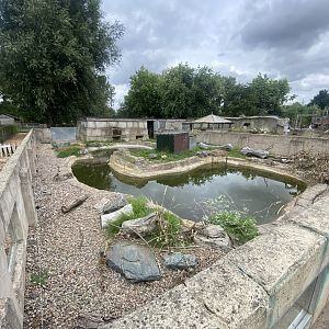 North American beaver exhibit 040824