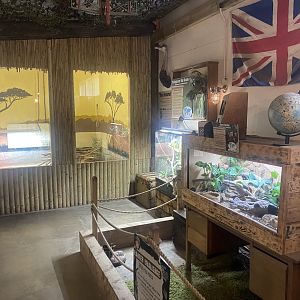 Corn snake and Leopard tortoise exhibits 040824