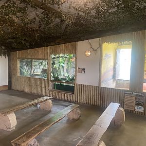 Spectacled caiman and Leopard tortoise exhibits 040824