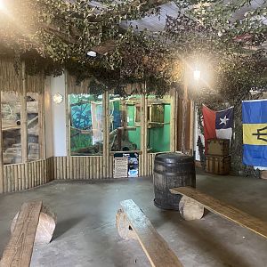 Chinchilla and Tayra exhibits 040824