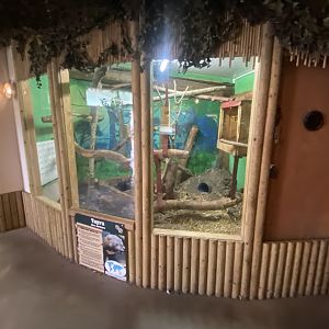 Tayra exhibit 040824